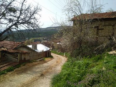 Taraklı Alballar Köyü Resimleri 3