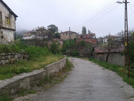 Taraklı Alballar Köyü Resimleri 6