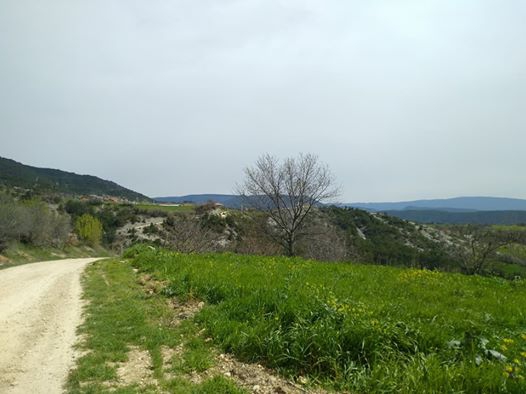 Taraklı Alballar Köyü Resimleri 7