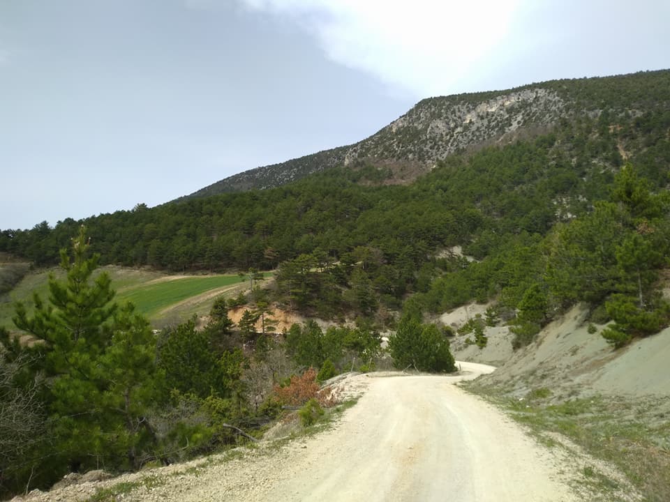 Taraklı Alballar Köyü Resimleri 8