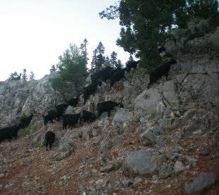 Toroslar Hamzabeyli Köyü Resimleri 1