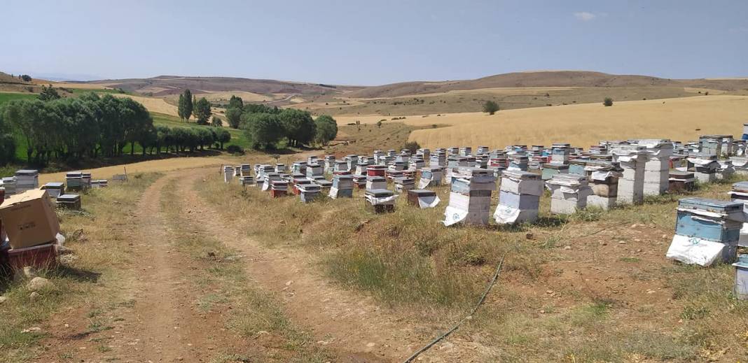 Sivas Günören Köyü Resimleri 4