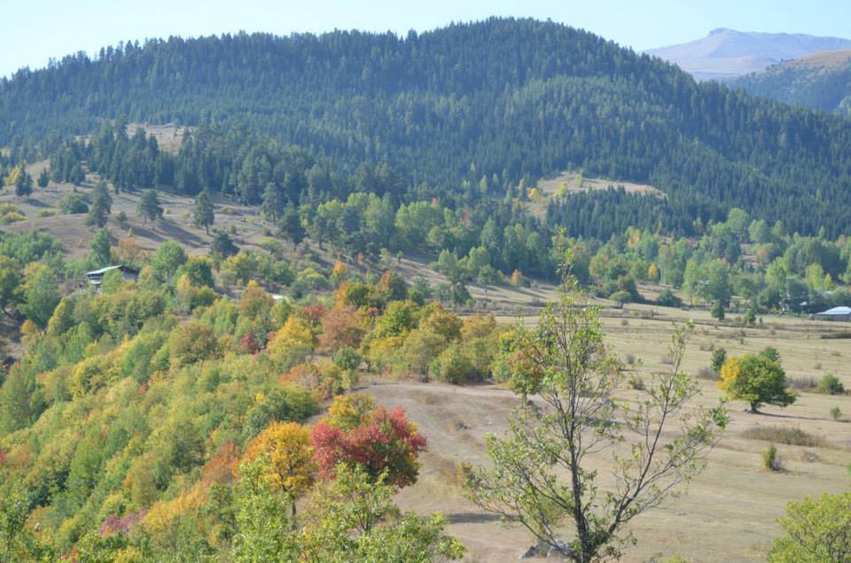 Sivas Hanlı Köyü Resimleri 3