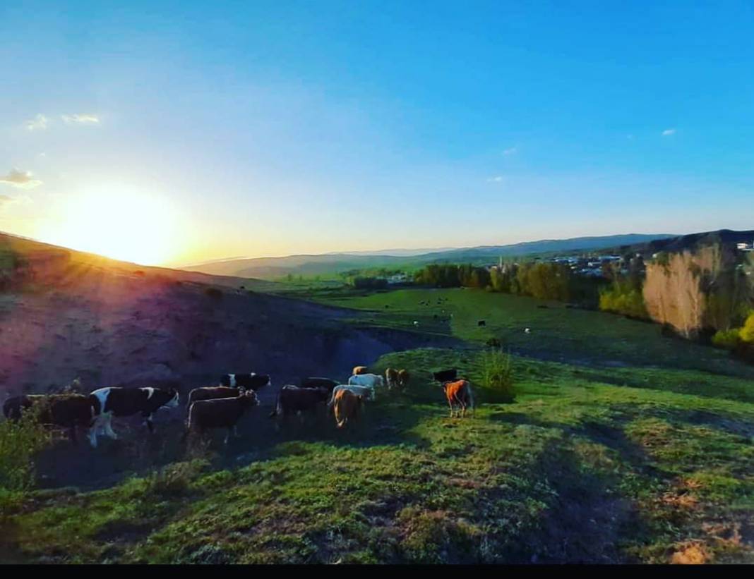 Sivas Haydarlı Köyü Resimleri 2