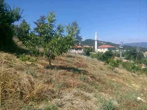 Taraklı Avdan Köyü Resimleri 2