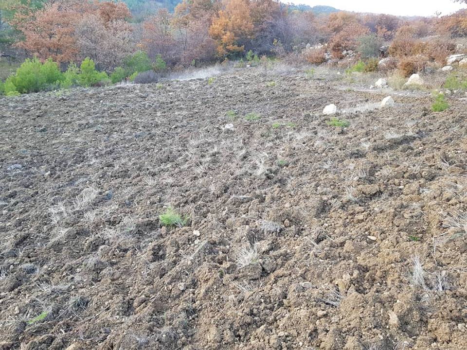 Taraklı Avdan Köyü Resimleri 4