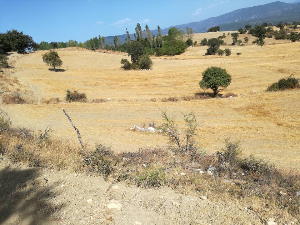 Taraklı Avdan Köyü Resimleri 6