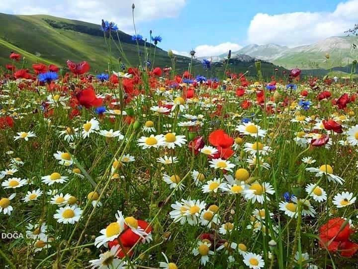 Sivas Hayırbey Köyü Resimleri 2