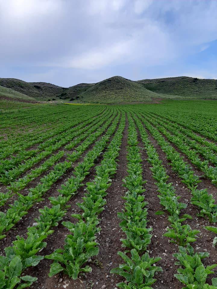 Sivas Hayırbey Köyü Resimleri 3