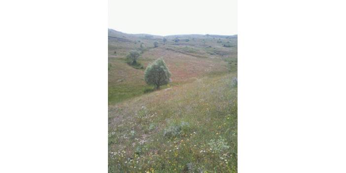 Sivas Hayranlı Köyü Resimleri