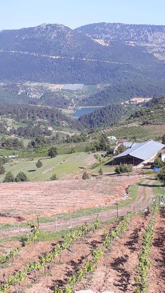 Toroslar Karaisalı Köyü Resimleri 13