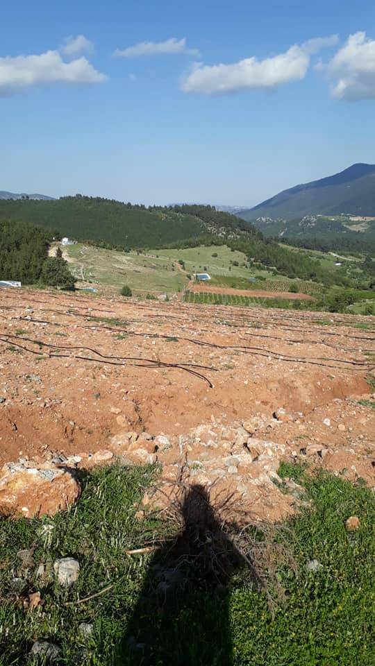 Toroslar Karaisalı Köyü Resimleri 14