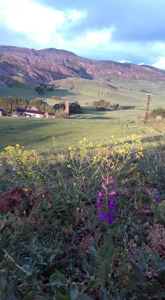 Sivas Hocabey Köyü Resimleri 5