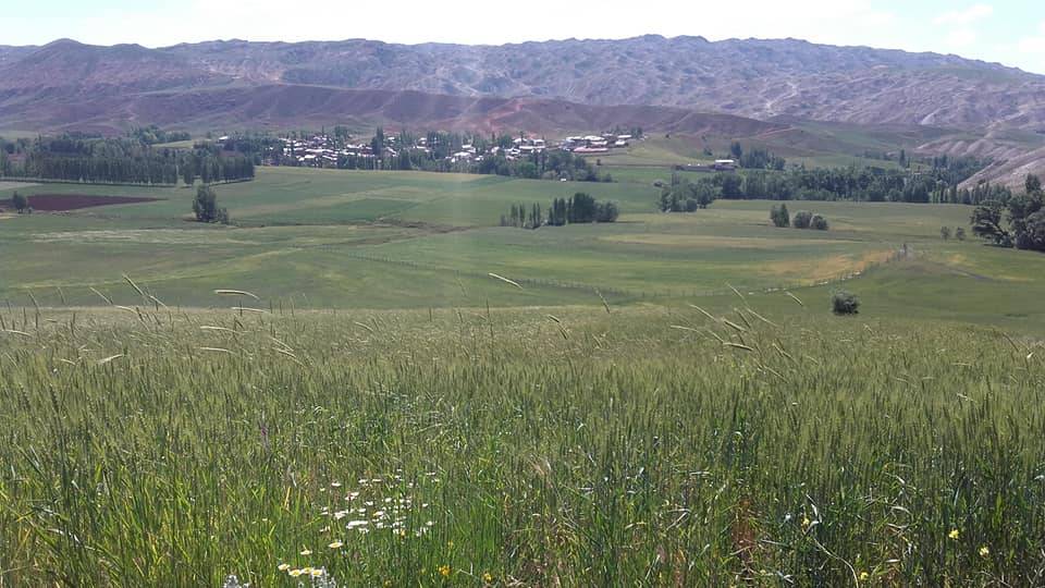 Sivas Hocabey Köyü Resimleri 6