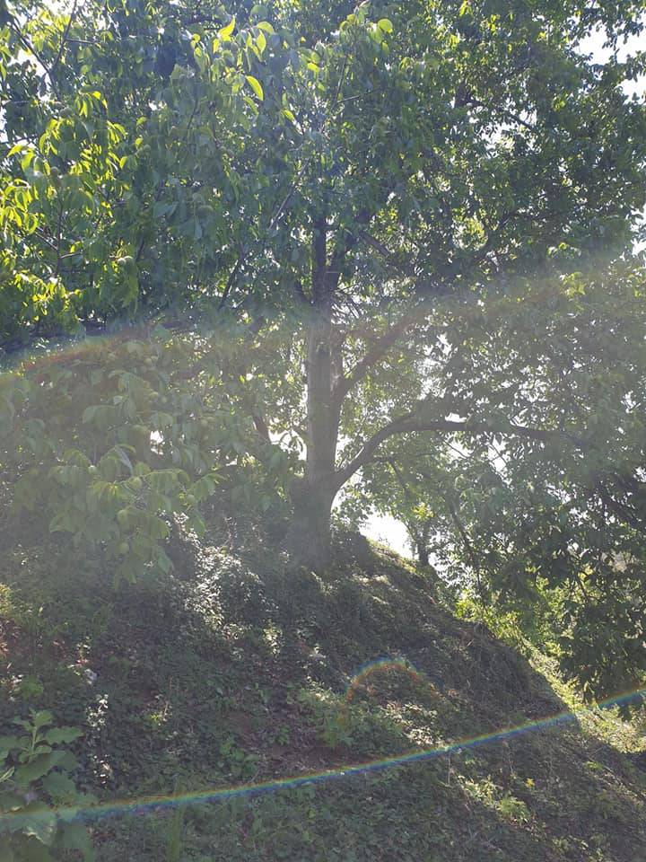 Toroslar Kavaklıpınar Köyü Resimleri 12