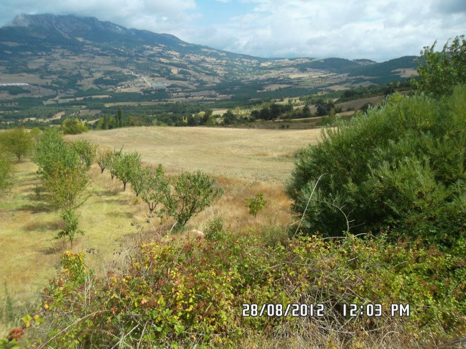 Taraklı Hacıyakup Köyü Resimleri 11