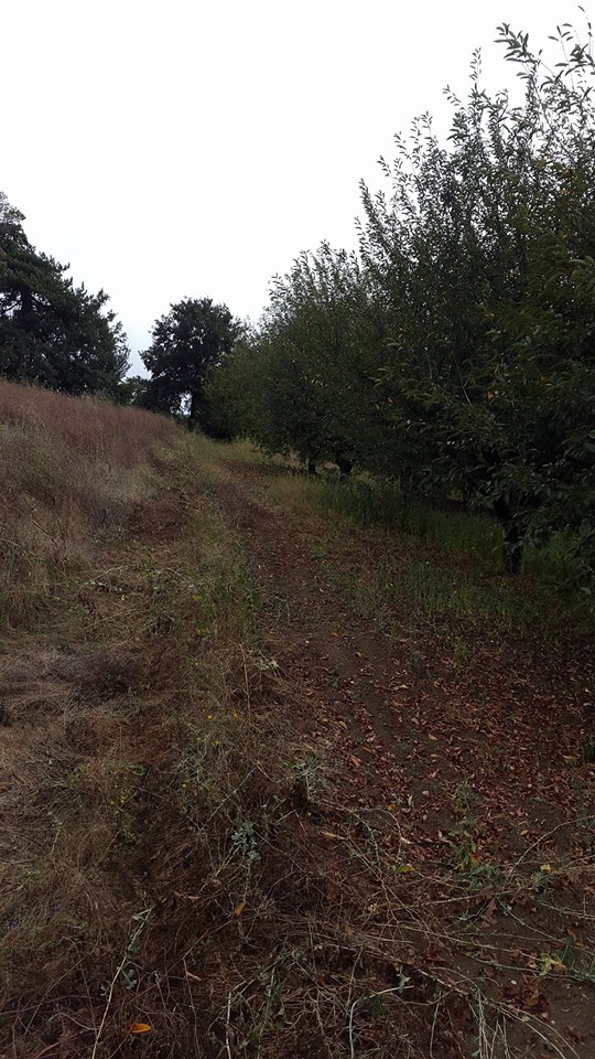 Taraklı Hacıyakup Köyü Resimleri 12