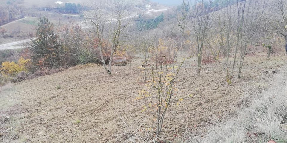 Taraklı Hacıyakup Köyü Resimleri 13