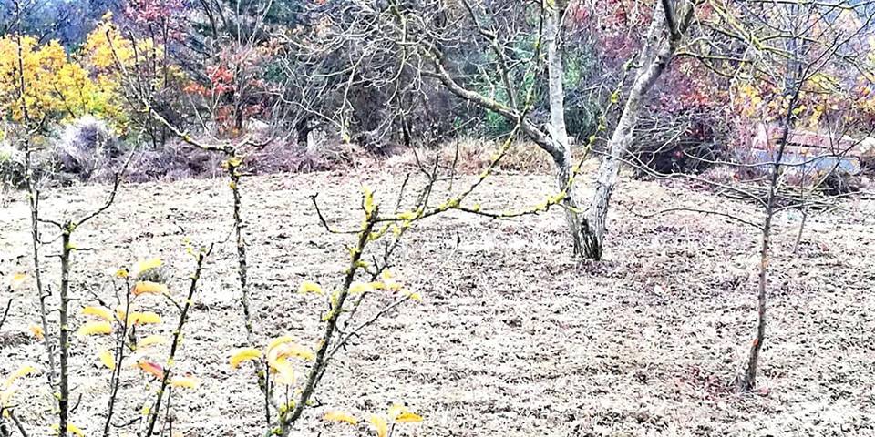 Taraklı Hacıyakup Köyü Resimleri 14