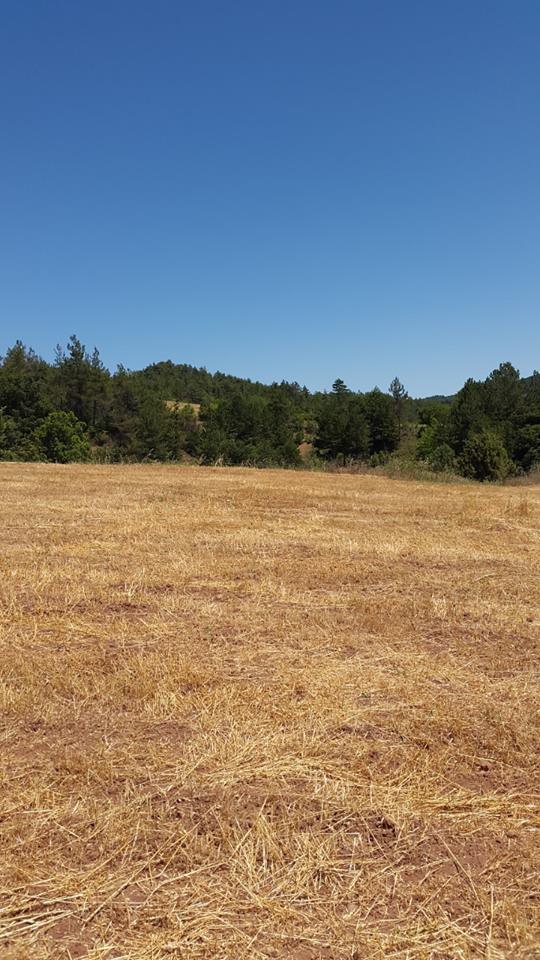 Taraklı Hacıyakup Köyü Resimleri 9