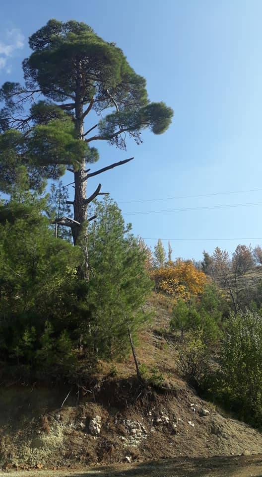 Toroslar Korukent Köyü Resimleri 11