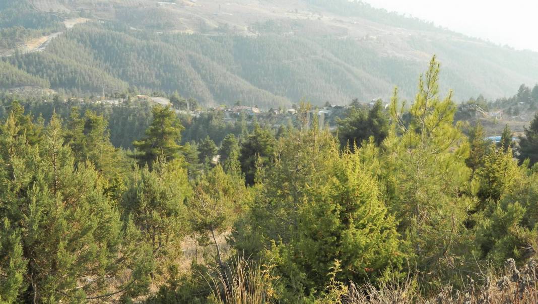 Toroslar Kurdali Köyü Resimleri 7