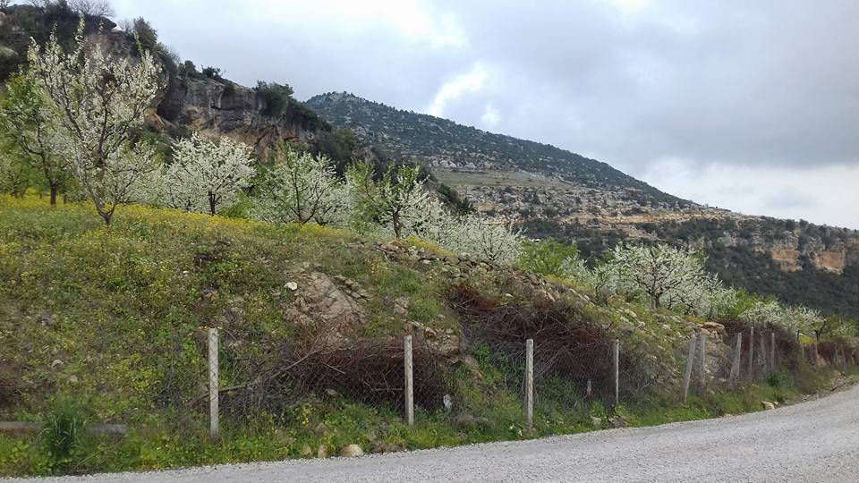 Toroslar Mevlana Köyü Resimleri 11