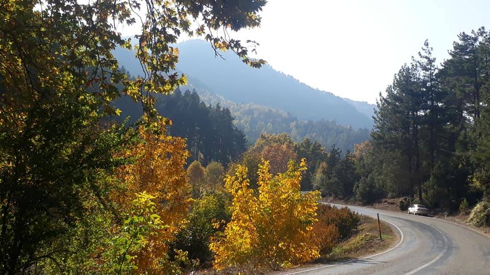 Toroslar Mevlana Köyü Resimleri 12