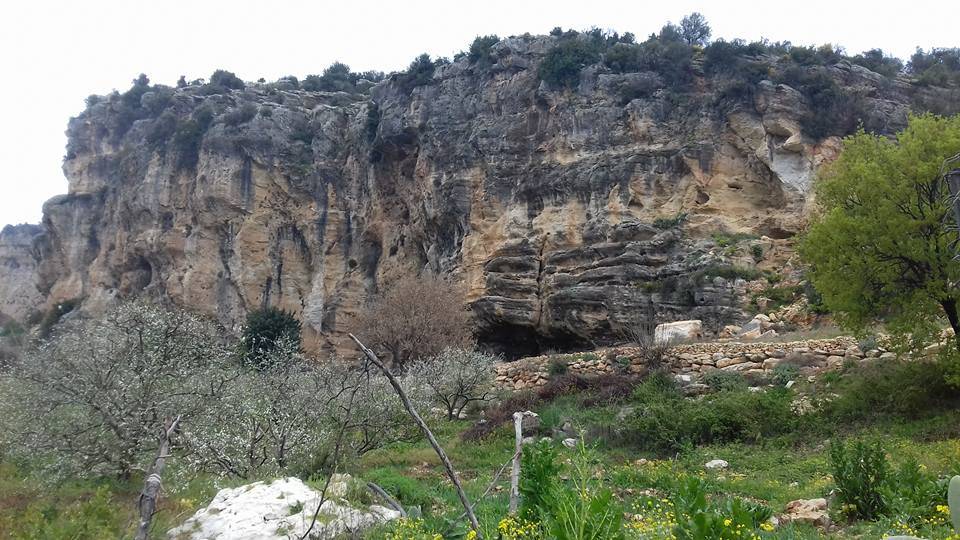 Toroslar Mithat Toroğlu Köyü Resimleri 3