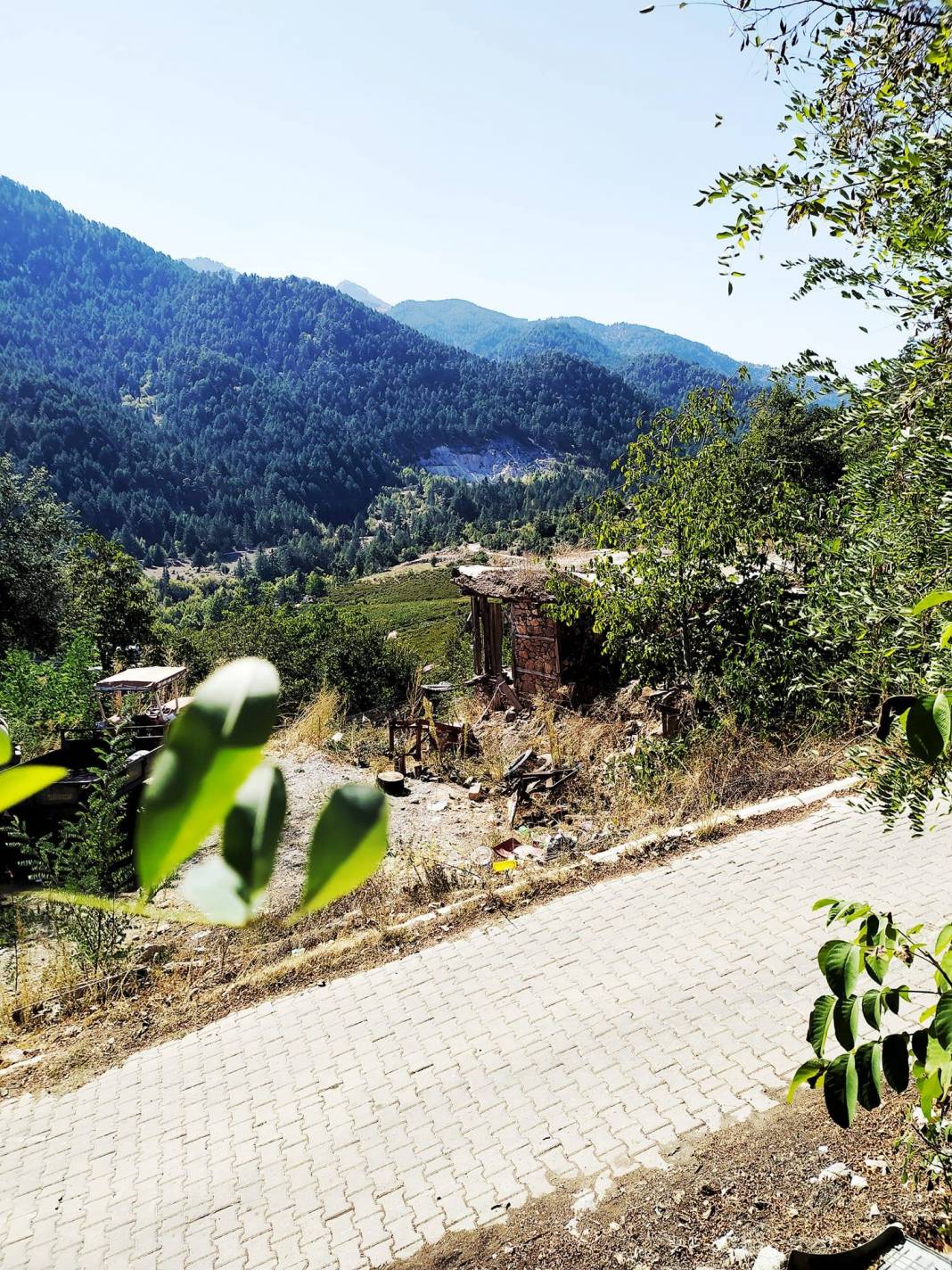 Toroslar Musalı Köyü Resimleri 6