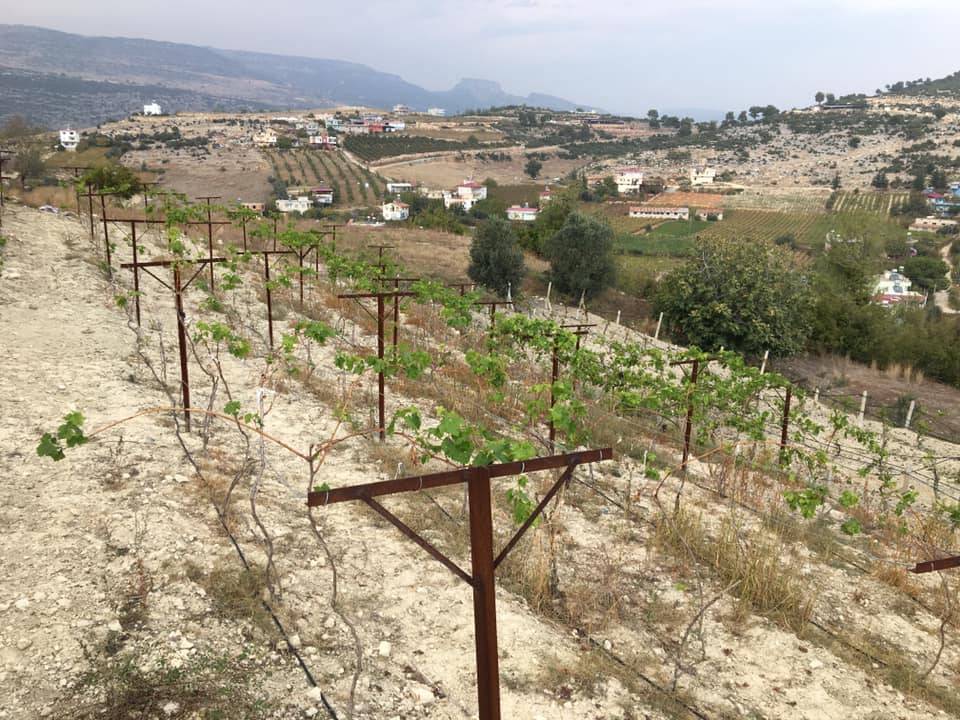 Toroslar Mustafa Kemal Köyü Resimleri 4