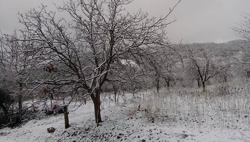 Taraklı Çamtepe Köyü Resimleri 1