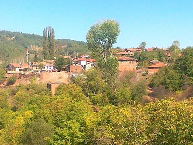 Taraklı Çamtepe Köyü Resimleri 6