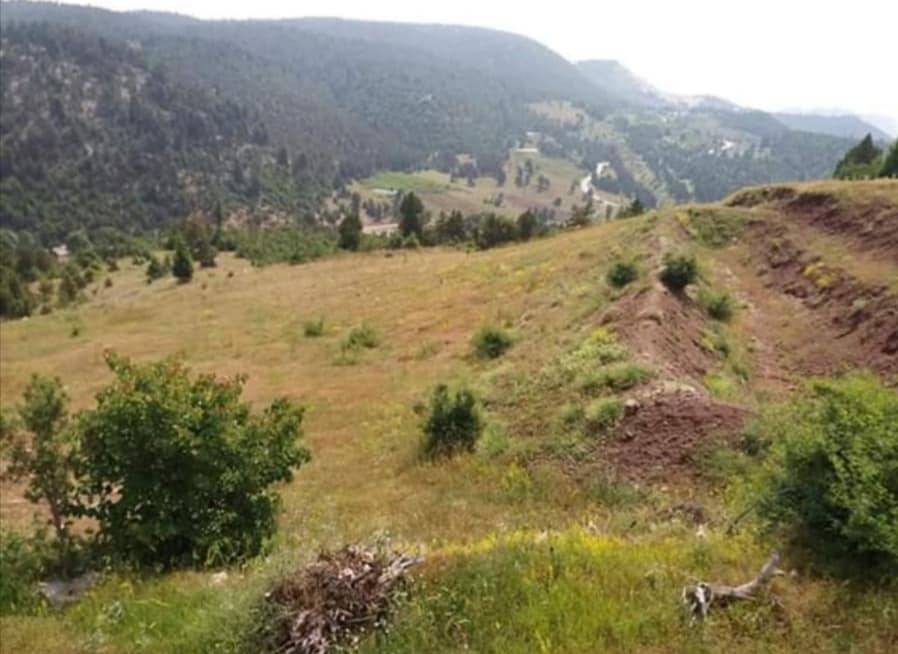 Toroslar Portakal Köyü Resimleri 10