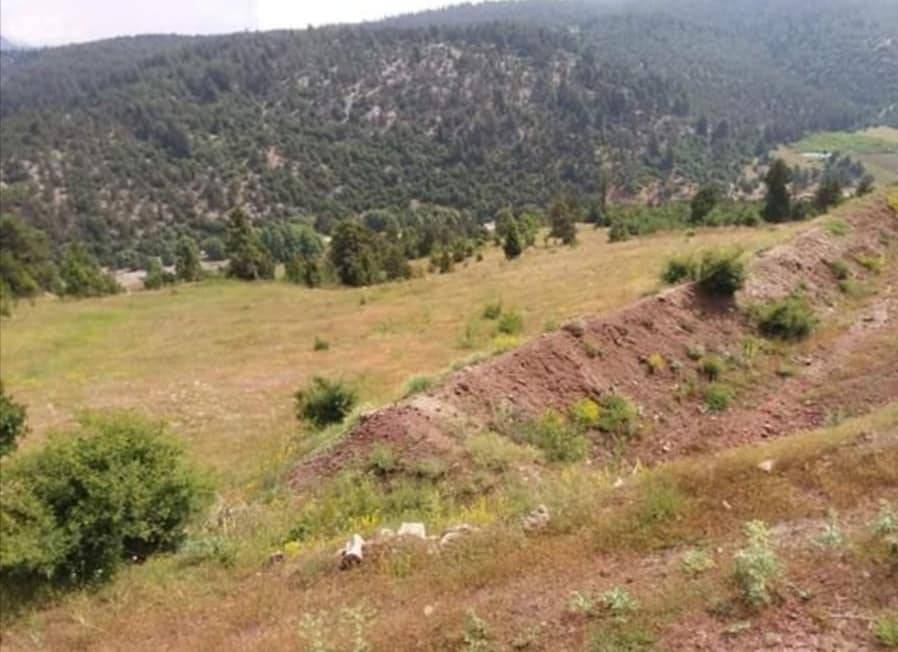 Toroslar Portakal Köyü Resimleri 11