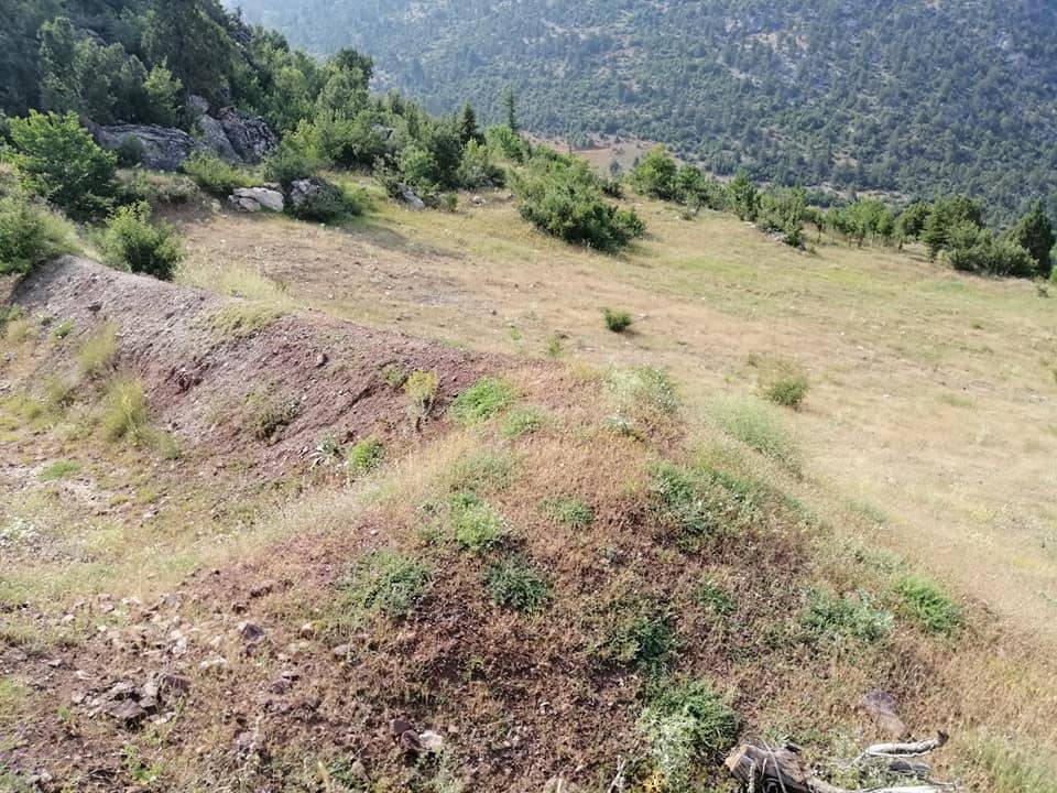 Toroslar Portakal Köyü Resimleri 12