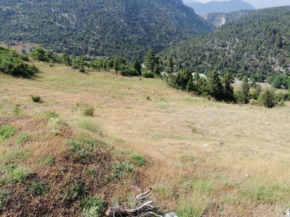 Toroslar Portakal Köyü Resimleri 13