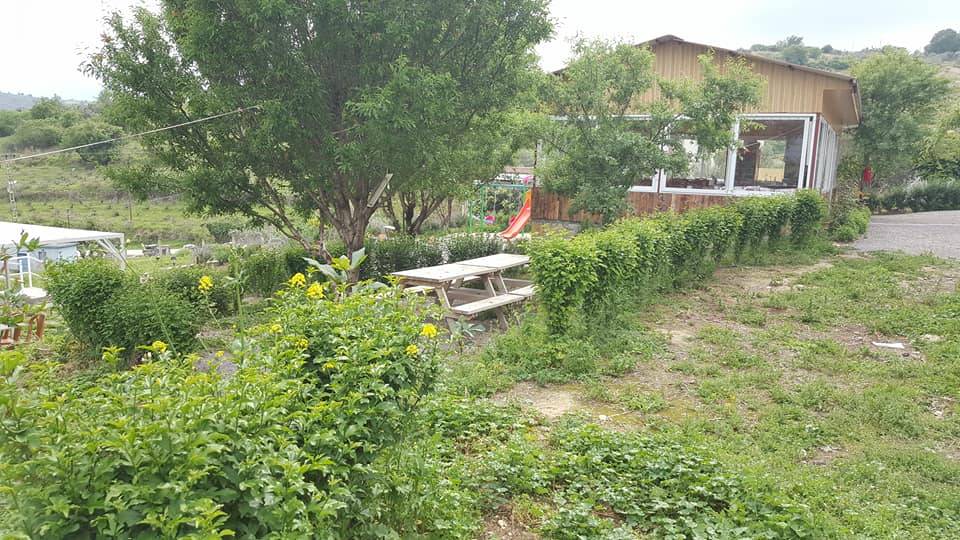 Toroslar Portakal Köyü Resimleri 4
