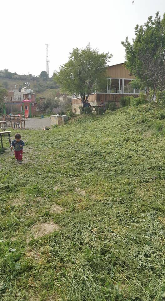 Toroslar Portakal Köyü Resimleri 6