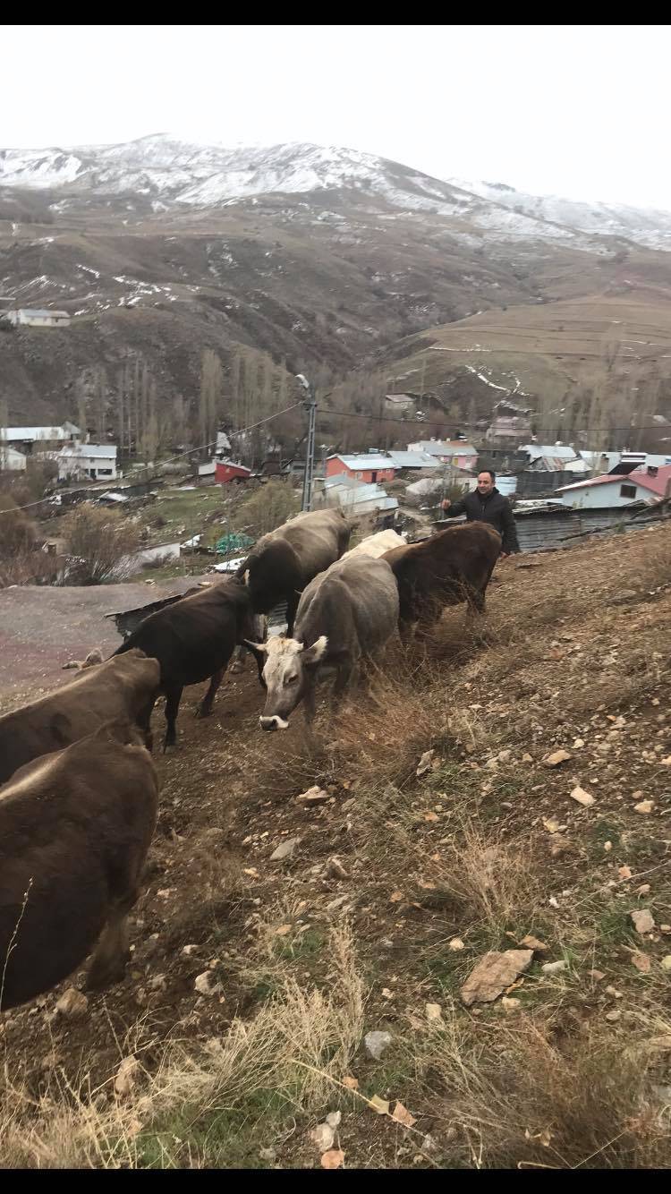 Sivas Karabalçık Köyü Resimleri 4