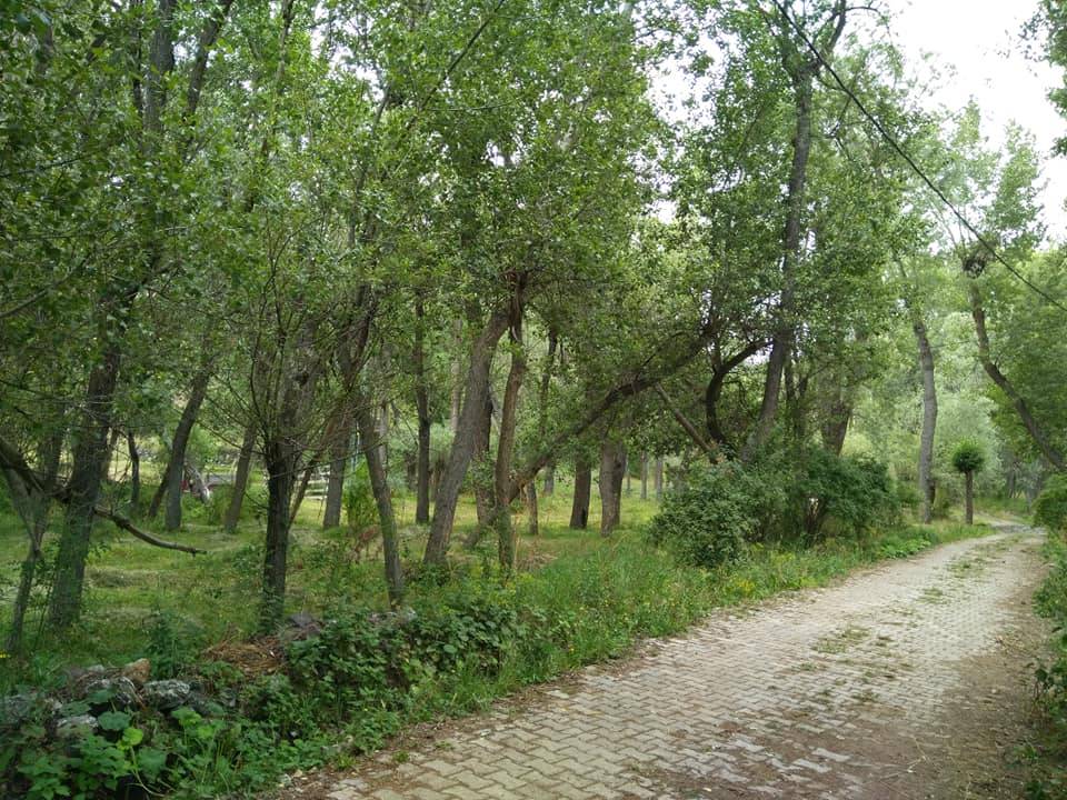 Sivas Karabalçık Köyü Resimleri 6