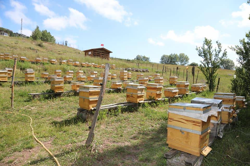 Sivas Karabalçık Köyü Resimleri 8