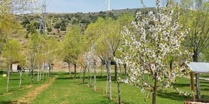 Sivas Karaçayır Köyü Resimleri