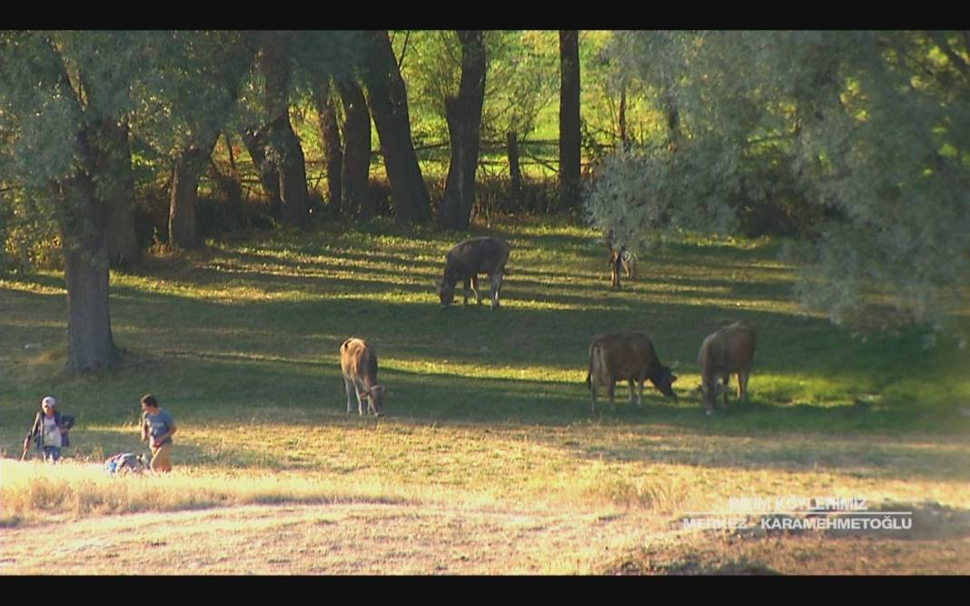 Sivas Karamehmetoğlu Köyü Resimleri 3