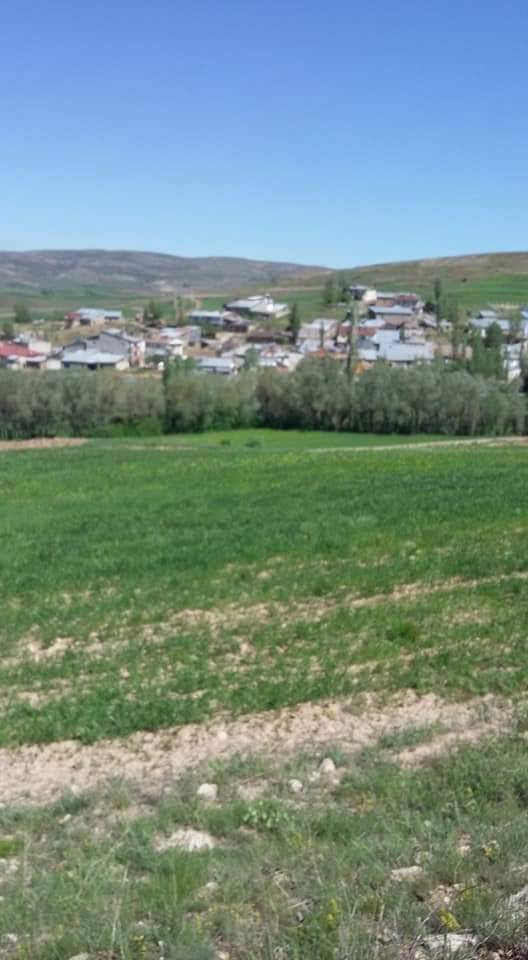 Sivas Karamehmetoğlu Köyü Resimleri 6