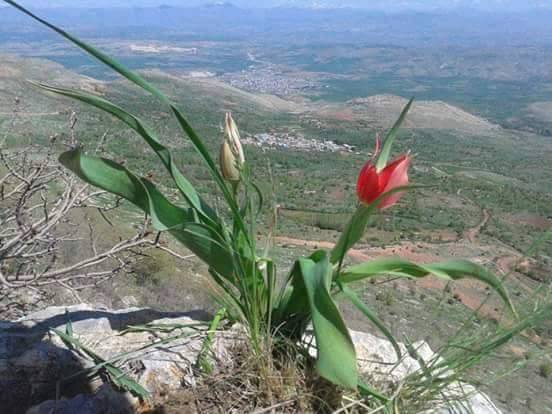 Kurtalan Beykent Köyü Resimleri 3