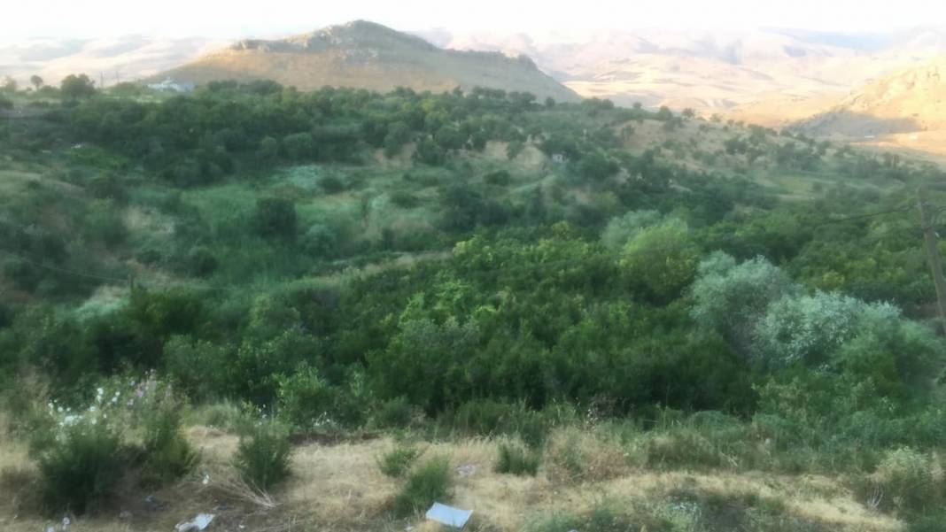 Kurtalan Beykent Köyü Resimleri 5