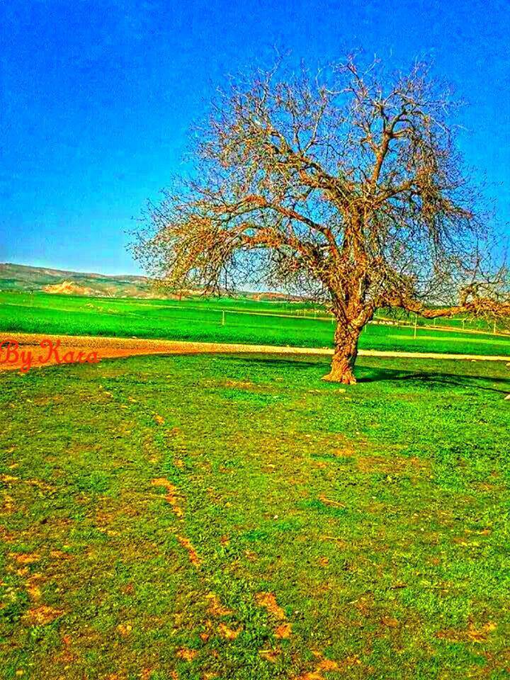Kurtalan Çayırlı Köyü Resimleri 1