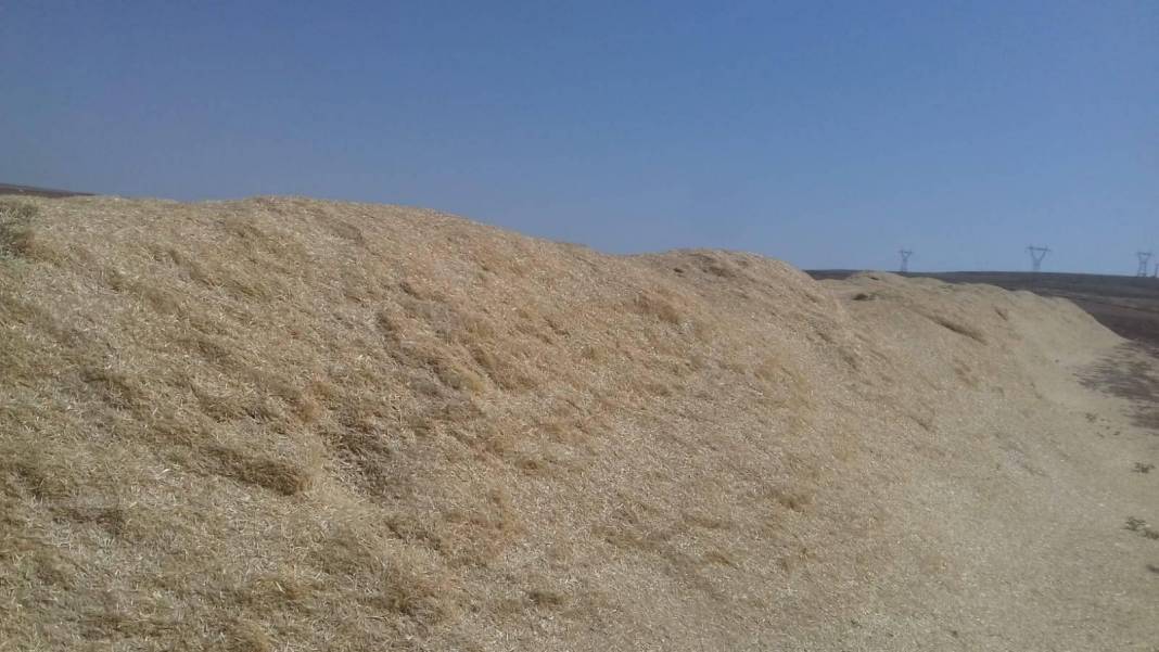 Kurtalan Çayırlı Köyü Resimleri 3