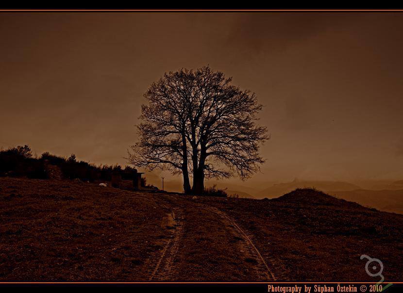 Taraklı İçdedeler Köyü Resimleri 2